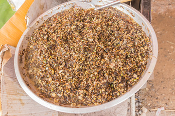 Fried ants selling at the local Thai market or street market