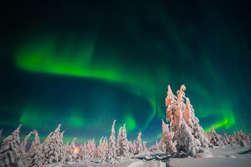 Winter night landscape with forest, road and polar light over the trees. 