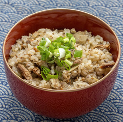 Fried rice with minced mackerel fish and onion in japanese bowl
