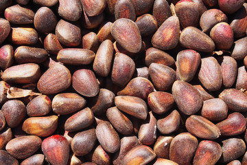 Background made of close up cedar nuts