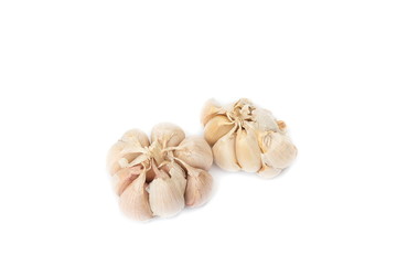 fresh garlic