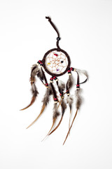 object,isolate,culture