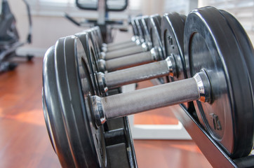 Obraz na płótnie Canvas Dumbbells in a row on a rack, fitness in the sport club.