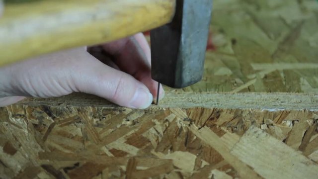 Close up of hand holding nail while hitting with hammer into wood.