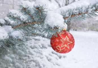  Red bauble on a Christmas tree under falling snow