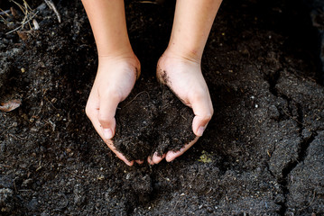 Black soil in hand
