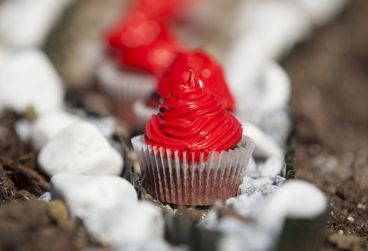Magical cupcakes in a row
