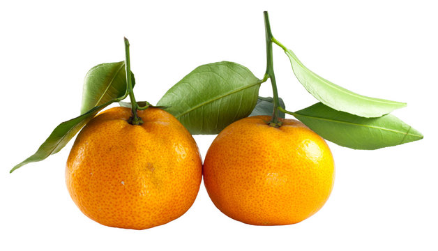 Fresh thai two orange fruit with green leaf on white background