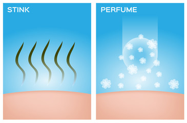 stink skin and skin with perfume vector