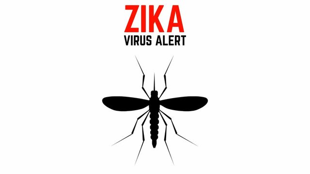 Zika virus alert. Moskit with phrase "Zika virus alert". Zika virus.