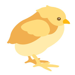 chick style vector illustration Flat