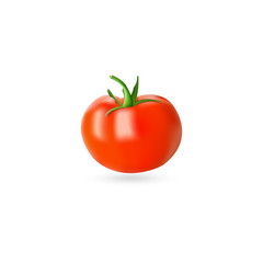 Bright illustration of ripe red tomato isolated on white background. Red tomato icon.