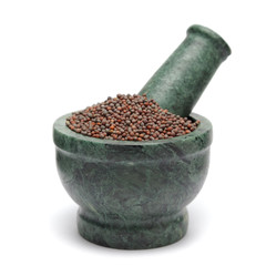 Organic Brown Mustard (Brassica juncea) on marble pestle. Isolated on white background.