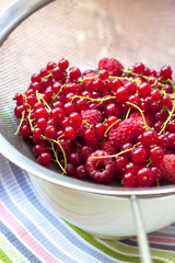 Fresh berries in a sieve