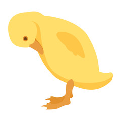 duckling vector illustration style Flat