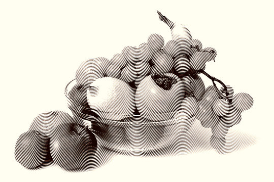 Sketch painting fruit set isolated on white background Black and white