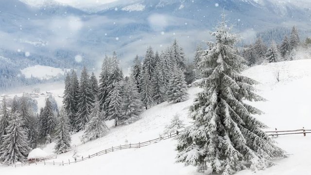 New Year,christmas, winter background