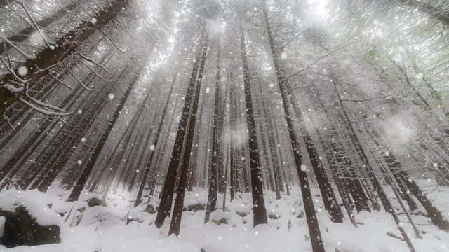 New Year,christmas, winter background
