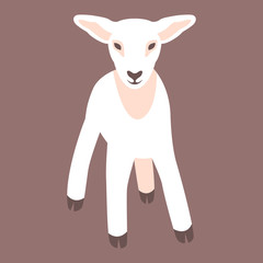 kid goat vector illustration style Flat