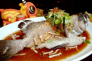 Hong Kong style steamed dragon grouper with mushroom and herbs o