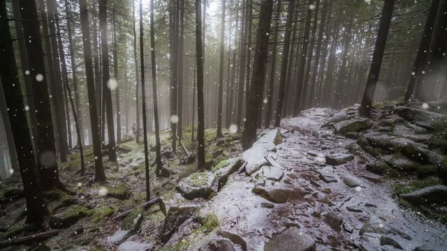 New Year,christmas, winter background