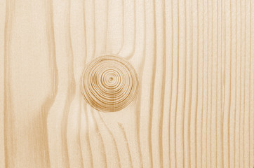 Fototapeta na wymiar Wood texture. Lining boards wall. Wooden background pattern. Showing growth rings. light spruce, pine
