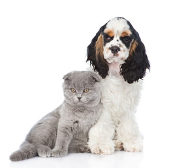 Cocker Spaniel puppy with young kitten. isolated on white 