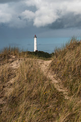 Lighthouse in the dunes
