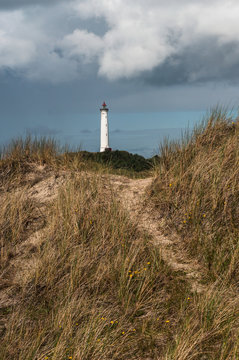 Lighthouse in the dunes
