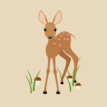 Fawn on a beige background.