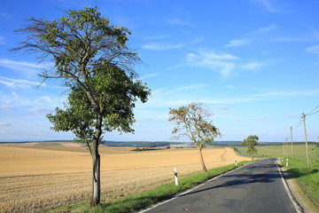 A rural road in Thueringen, Germany