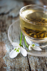 First spring flowers snowdrops