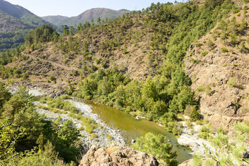 clear waiers of Orba river in gorge near Tiglieto, Italy