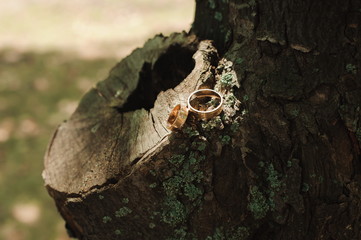 Wedding details - wedding rings