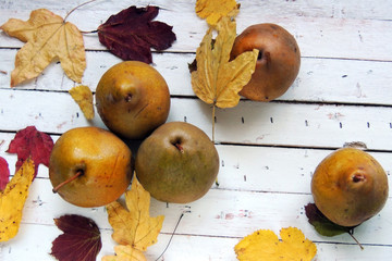 Pear and autumn leaves