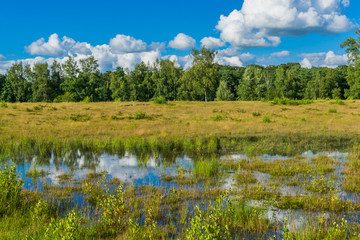 beautiful huge water puddle in a moorland landscape forest view