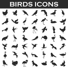 birds icons set