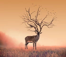 Deurstickers Conceptueel hertenhert, een droge boom als edelhertenhert © Arlo Magicman