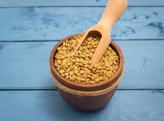 the seeds of green lentils on a blue board