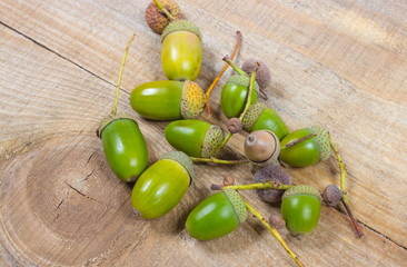 Acorns on a wooden table