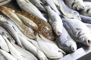Obraz premium Fresh fish in a market