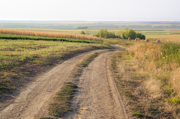 Fototapeta na wymiar Field road in Ukrainian village in autumn