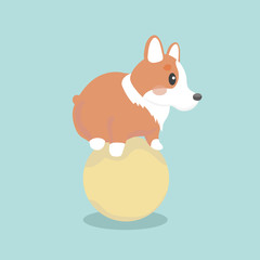 Cute welsh corgi dog vector illustration
