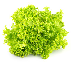 fresh lettuce