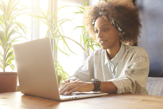 People And Technology. Young African Woman Freelancer In Denim Shirt And Bandana Working On Laptop Computer, Sitting At Coworking Space Near Window With Flowers, Using Free Wireless Connection