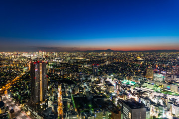 Fototapeta premium 日本・東京都心の夕景・夜景