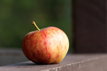 Red Apple Close Up