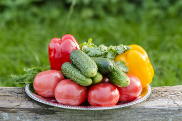 Composition with the fresh vegetables on the plate: peppers, cucumbers and tomatoes