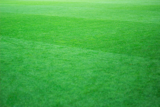 Classical football field photo. Natural green lawn