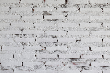 white brick wall as background.